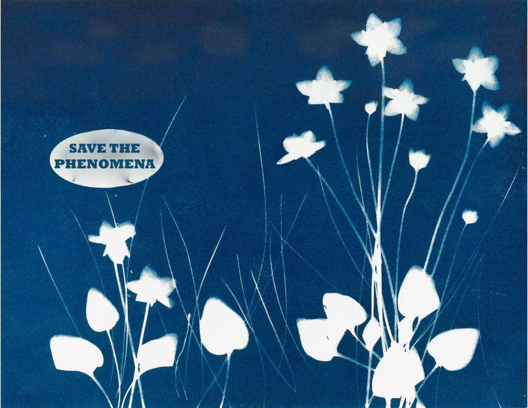 Save the Phenomena: cover image
